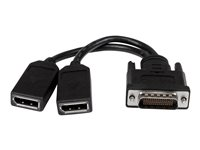 StarTech.com DMS-59 to DisplayPort - 8in - DMS 59 to 2x DP - Y Cable - DMS-59 Adapter - DisplayPort Splitter Cable - LFH Cable (DMSDPDP1) - Répartiteur d'écran - DisplayPort (F) pour DMS-59 (M) - 20.3 cm - moulé, vis moletées - noir DMSDPDP1