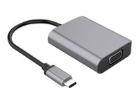 DLH - Adaptateur vidéo - 24 pin USB-C mâle pour HD-15 (VGA), HDMI, 24 pin USB-C femelle - 19 cm - noir - support 1080p, support pour 4K60Hz DY-TU4212